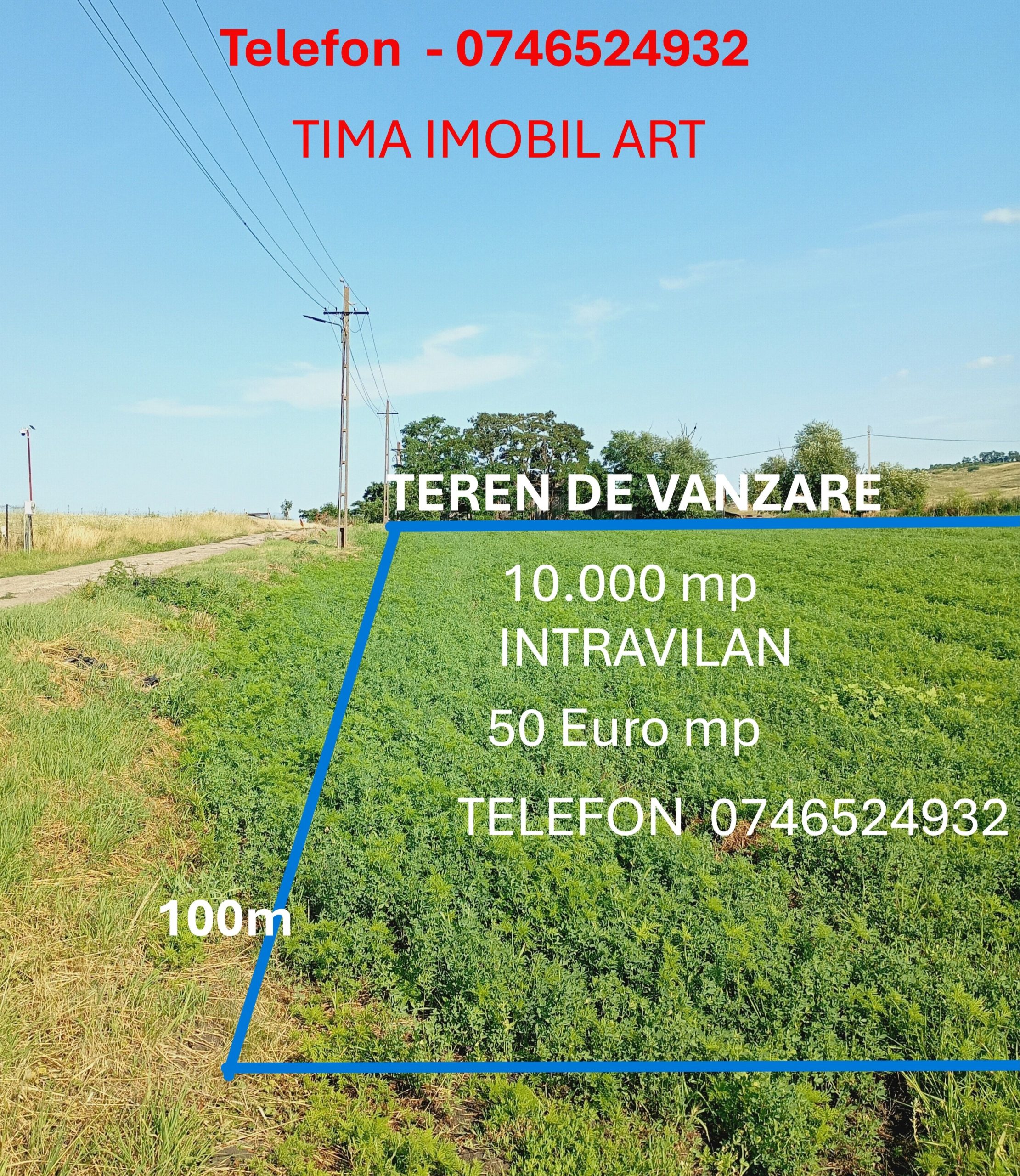 Teren intravilan de vanzare    Dorohoi